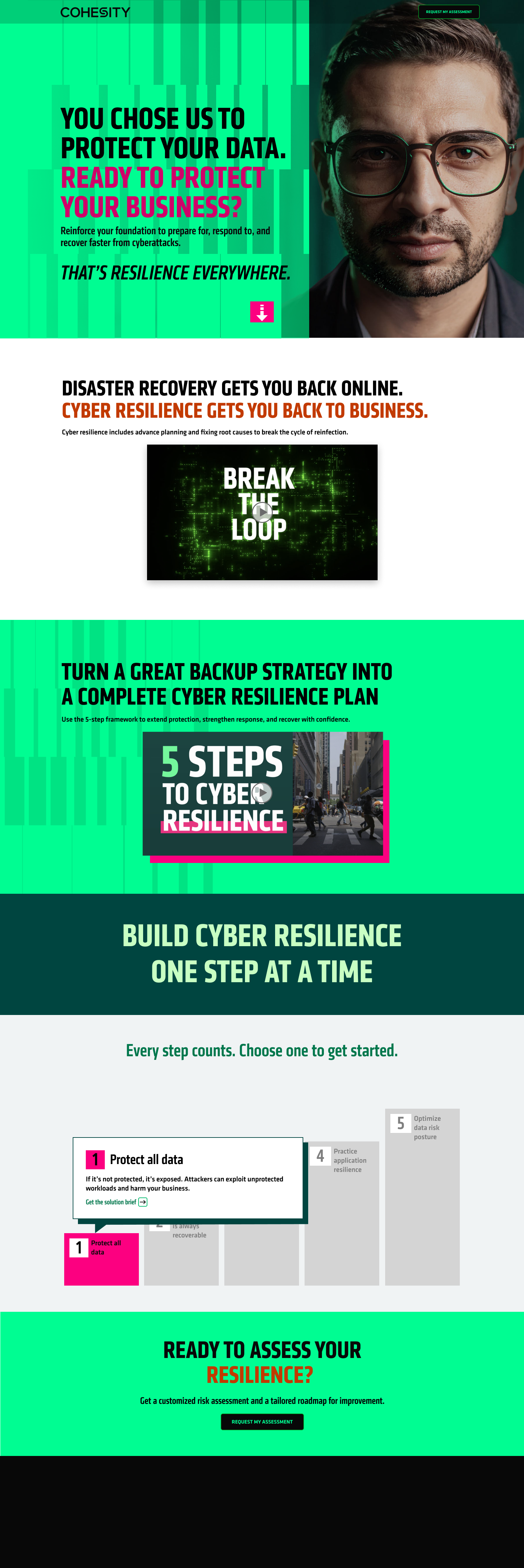 Landing Page 3 - Enterprise Executives