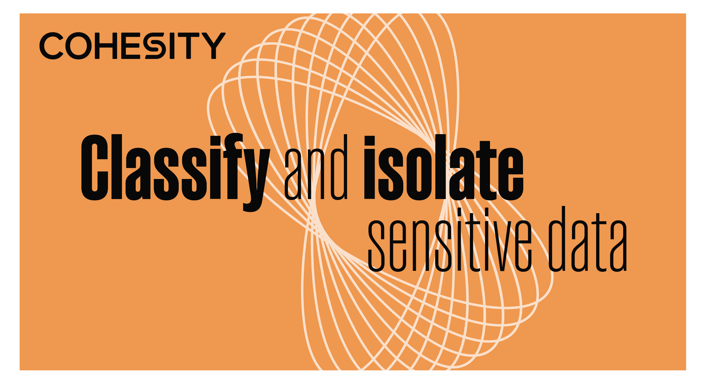 Cohesity Rebrand - Brand element 4