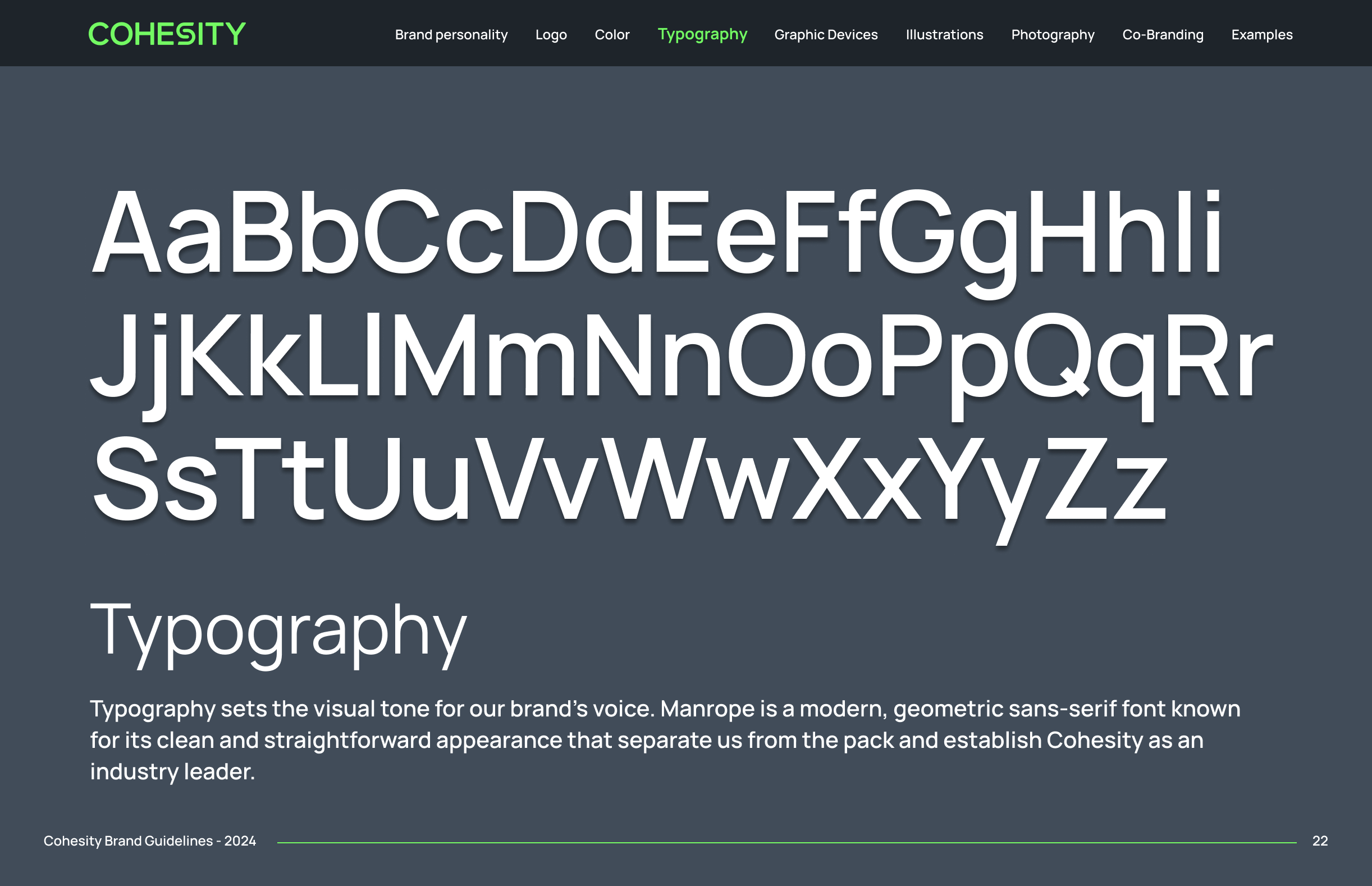 Brand Style Guide - Image 14